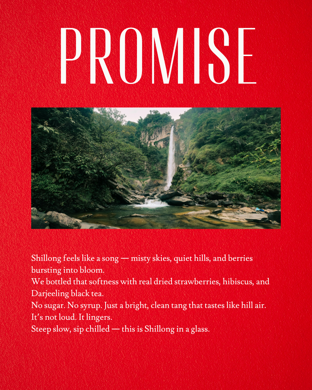 Doon Litchi Peach Iced Tea