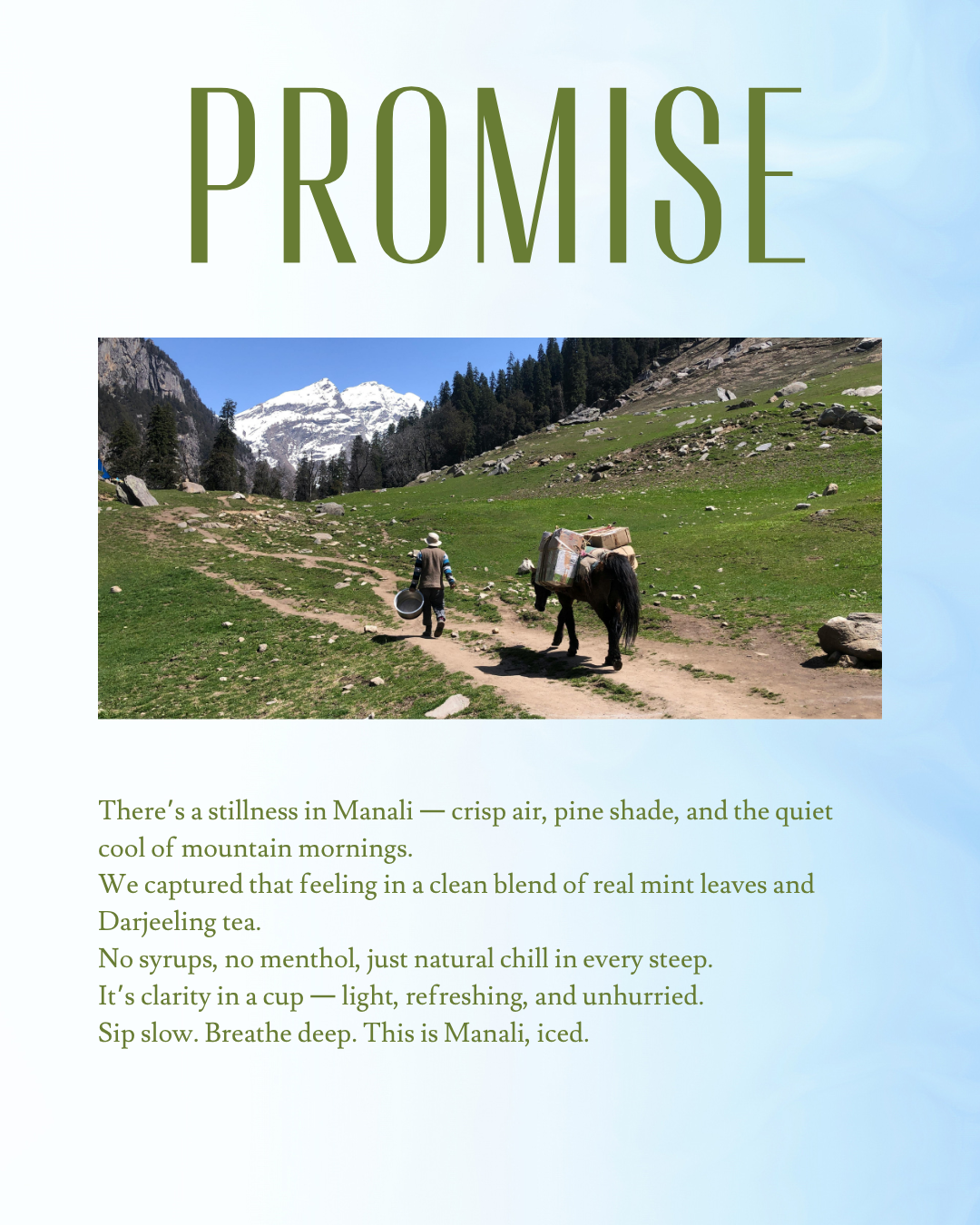 Manali Mint Iced Tea lifestyle - crisp and refreshing Himalayan drink