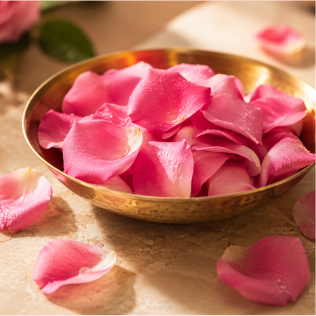 Rose petals